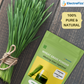 ElectroFizz 100% Pure Wheat Grass Powder Superfood, Antioxidant, Energy, Detox, Aids Digestion, Immunity Booster, GMO Free, Vegan-150 gms Pouch